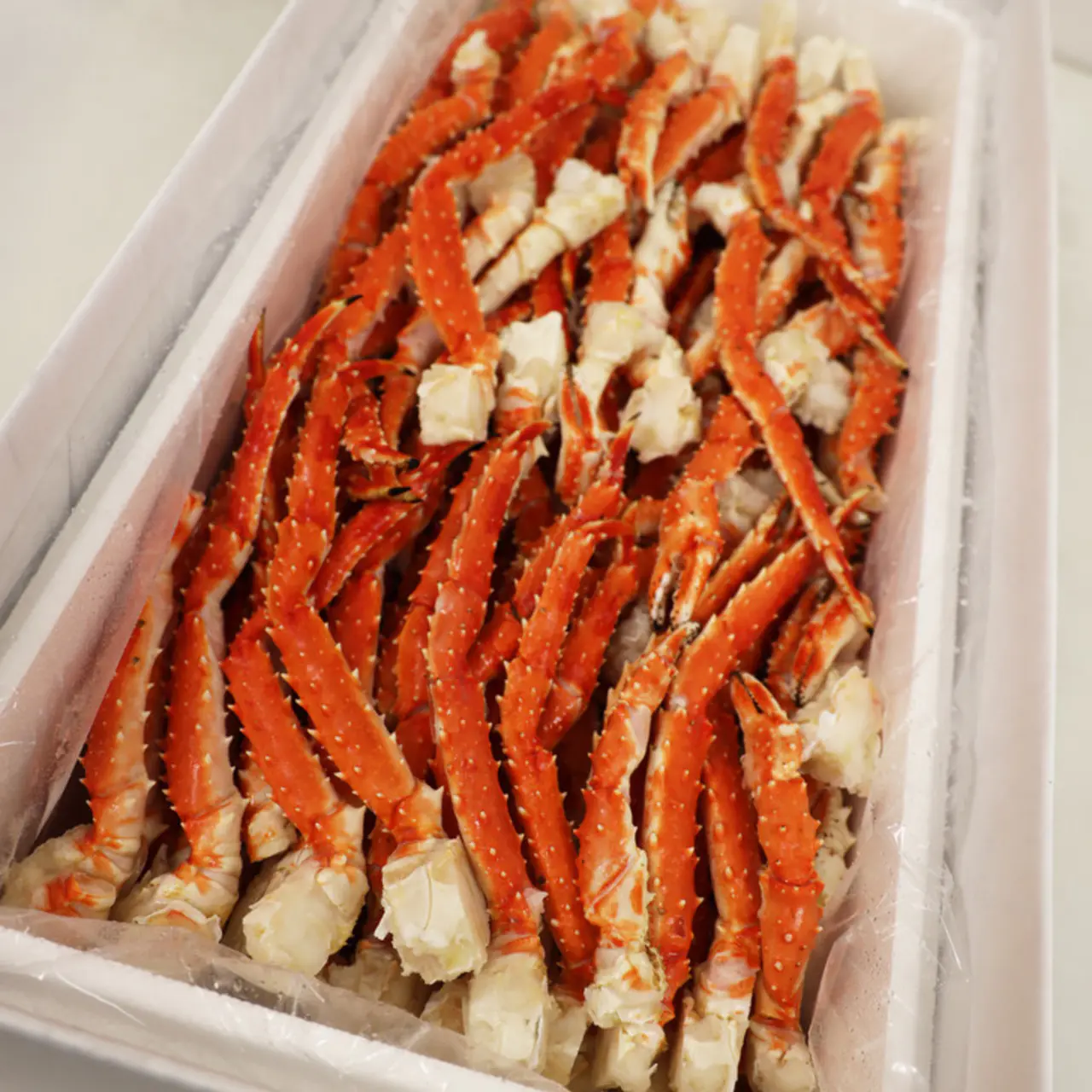 Crab Lobster Oysters Shellfish
